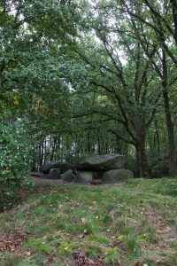 Megalithgrab im Wald bei Groß-Berßen im Emsland.